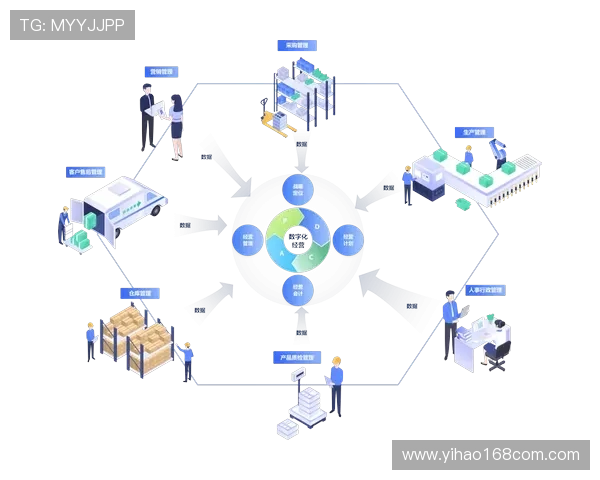 壹号数字站:打造专业的数字营销解决方案助力企业快速增长 壹号数字站:打造专业的数字营销解决方案助力企业快速增长