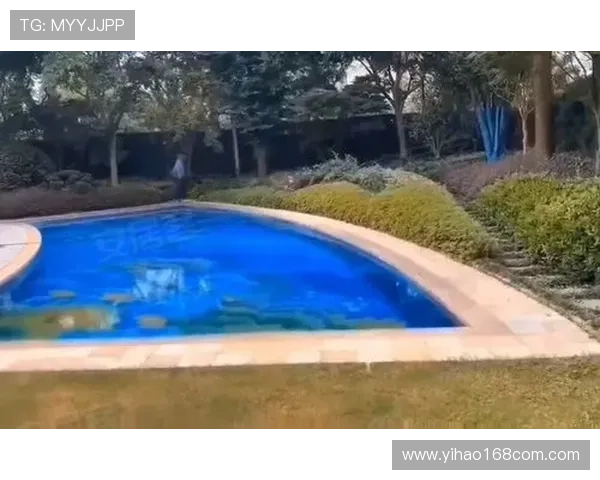 壹号正规官网:最新官方公告与平台动态一手掌握 壹号正规官网:最新官方公告与平台动态一手掌握